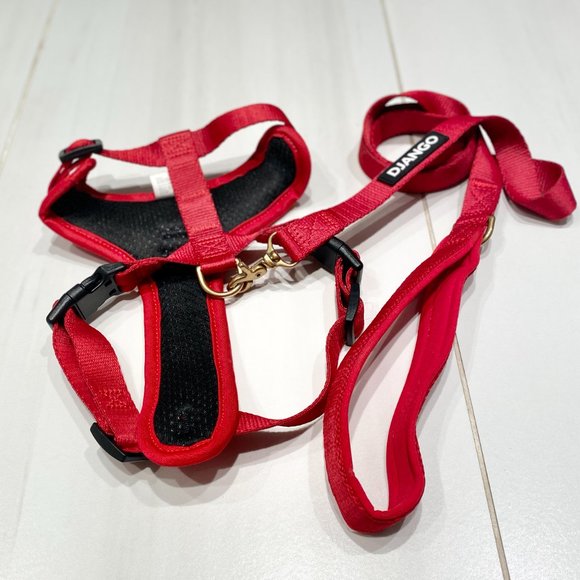 ✨NWOT✨Django Harness & Leash Set - Picture 4 of 7